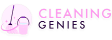 Logo cleaning genies